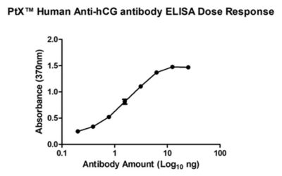 Human Anti-hCG